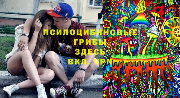 2c-b Алексеевка