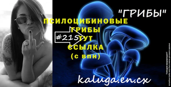 2c-b Алексеевка